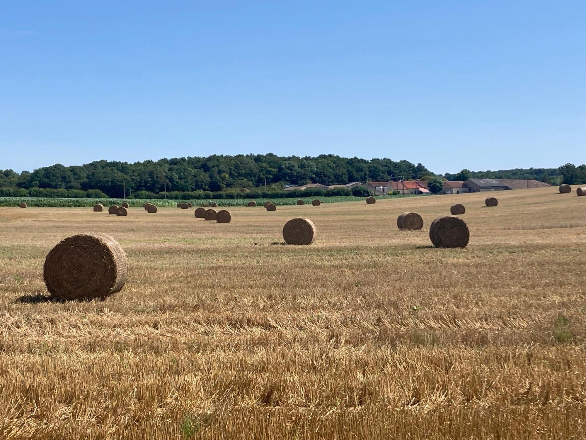 Les Ganivelles Daire Saint-Dizant-du-Gua Dış mekan fotoğraf